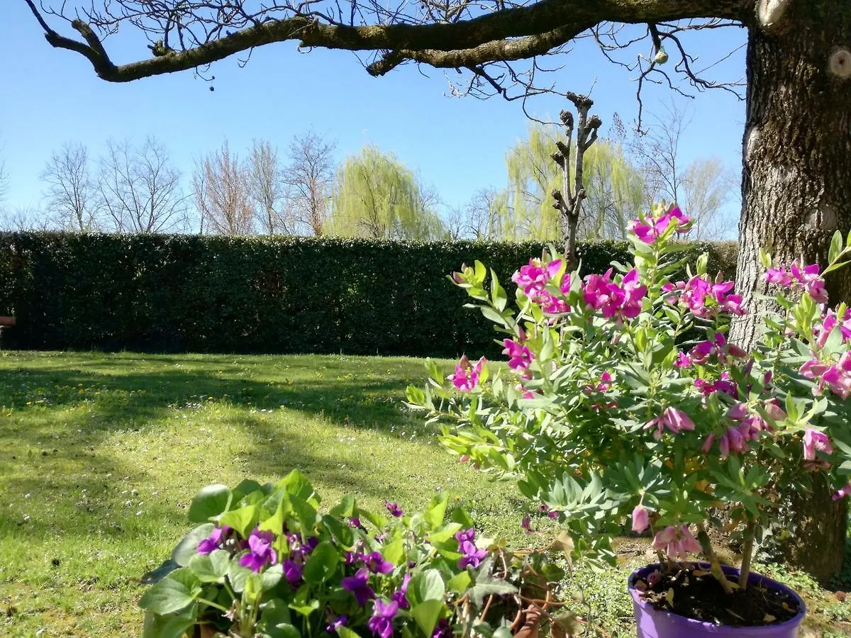 Bed And Breakfast Miotto Montegalda Italy